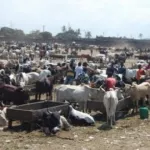 nouvelle-taxe-a-l-abattoir-la-mairie-de-port-bouet-reagit-nous-ne-sommes-pas-concernes