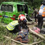 un-mini-car-fait-une-sortie-de-route-sur-l-autoroute-du-nord-plusieurs-victimes
