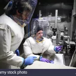 maladie-x-un-danger-planetaire-a-l-horizon