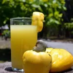 transformation-de-la-pomme-de-cajou-le-giz-renforce-les-capacites-des-femmes-du-nord-est