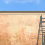 parti-cambrioler-une-maison-il-tombe-d-une-echelle-et-meurt