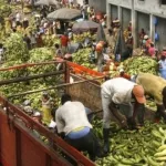 dette-interieure-reclamant-20-milliards-fcfa-a-l-etat-des-fournisseurs-de-denrees-alimentaires-a-l-armee-ivoirienne-menacent