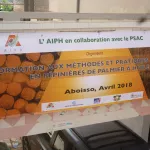 aboisso-l-aiph-active-le-troisieme-plan-palmier