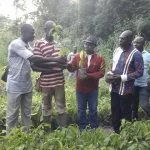 developpement-de-proximite-le-depute-de-daoukro-ngattakro-offre-plus-de-quarante-hectares-de-pepinieres-de-cafe-aux-jeunes-planteurs-du-departement
