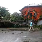 pluies-diluviennes-des-arbres-s-abattent-sur-la-maison-de-la-presse-d-abidjan-d-importants-degats-materiels