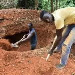 grand-lahou-un-orpailleur-clandestin-surpris-dans-une-foret-classee-par-une-patrouille-de-la-sodefor