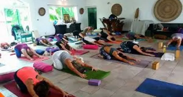 sante-et-bien-etre-l-ambassade-de-l-inde-appelle-a-la-pratique-quotidienne-du-yoga