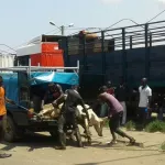 ramadan-2018-ce-qui-se-passe-a-l-abattoir-de-port-bouet