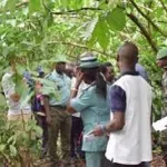 lutte-contre-la-deforestation-reed-associe-les-industriels-du-bois-et-les-ong-locales-dans-la-region-de-la-me