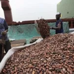 transformation-du-cacao-une-menace-plane-sur-l-atteinte-des-objectifs-fixes