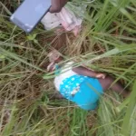 drame-mort-horrible-d-une-femme-et-son-bebe-de-11-mois-tuees-retrouvees-dans-des-broussailles