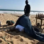 attentat-de-grand-bassam-les-commanditaires-arretes-au-senegal