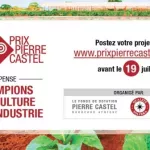 prix-pierre-castel-depot-des-candidatures-la-date-limite-fixee-au-18-juillet-2018
