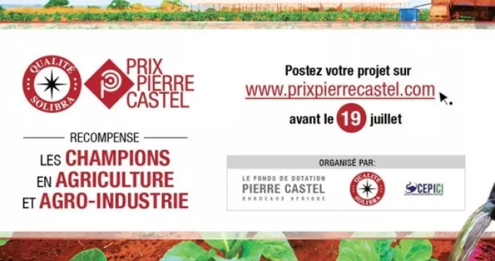 prix-pierre-castel-depot-des-candidatures-la-date-limite-fixee-au-18-juillet-2018
