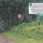 yopougon-des-tueurs-presumes-d-un-microbe-arretes-dans-la-foret-du-banco