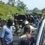 yamoussoukro-une-voiture-personnelle-et-un-masse-entre-en-collision-un-mort-et-une-trentaine-de-blesses