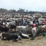 port-bouet-un-fidele-musulman-attaque-a-l-abattoir-une-importante-somme-d-argent-arrachee