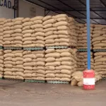 apres-sa-liquidation-les-actifs-de-saf-cacao-mis-en-vente