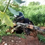 un-coupeur-de-route-abattu-son-corps-emporte-par-ses-acolytes