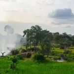 lutte-contre-la-deforestation-en-cote-d-ivoire-d-importantes-decisions-prises-pour-la-sauvegarde-sociale-et-environnementale