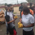 production-de-la-banane-dessert-des-professionnels-oeuvrent-a-un-developpement-du-marche-local-et-sous-regional