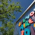 jeux-olympiques-de-la-jeunesse-2018-les-trois-athletes-ivoiriens-qui-representent-la-cote-d-ivoire-a-buenos-aires