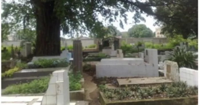 revue-de-presse-toussaint