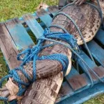 vridi-un-crocodile-debarque-dans-l-enceinte-d-une-entreprise