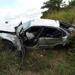 autoroute-du-nord-un-accident-entre-un-automobiliste-et-des-boeufs-fait-plusieurs-morts