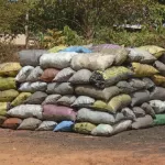 insecurite-comment-une-vendeuse-de-charbon-a-mis-en-deroute-son-agresseur-en-pleine-foret