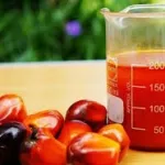 gommage-corps-a-l-huile-de-palme