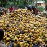 agriculture-et-preservation-des-forets-le-gouvernement-presente-sa-nouvelle-strategie