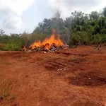 man-la-direction-regionale-des-douanes-met-le-feu-a-des-tonnes-de-produits-prohibes-saisis