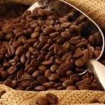 cafe-le-prix-du-kilogramme-fixe-a-700-f-cfa-pour-la-campagne-2018-2019