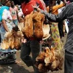 a-la-veille-des-fetes-de-fin-d-annee-adjoumani-interdit-la-vente-de-volailles-en-dehors-des-marches-des-mesures-prises-contre-les-vendeurs-ambulants