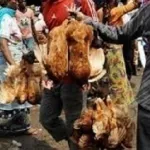 interdiction-de-vente-de-volailles-dans-la-rue-des-commercants-defient-le-ministre-adjoumani