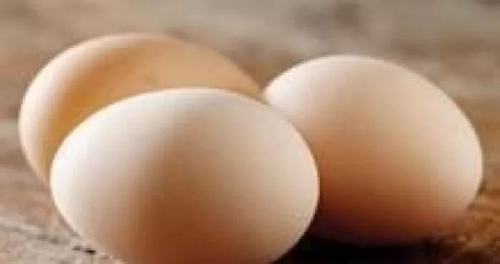 les-secrets-de-l-oeuf-pour-la-beaute