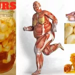 si-vous-mangez-de-l-ail-et-du-miel-a-jeun-pendant-7-jours-voici-ce-qu-il-se-passe-dans-votre-corps