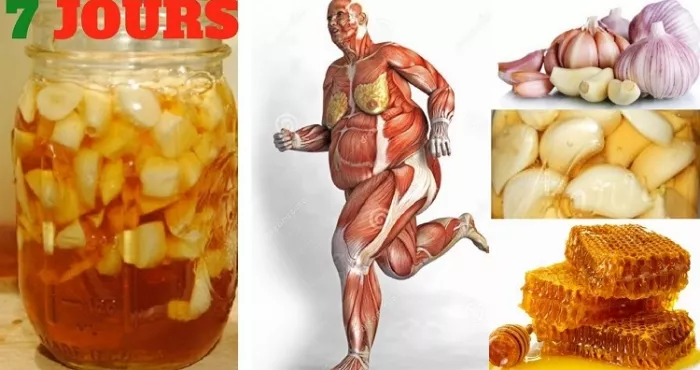 si-vous-mangez-de-l-ail-et-du-miel-a-jeun-pendant-7-jours-voici-ce-qu-il-se-passe-dans-votre-corps