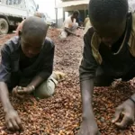 sangafowa-coulibaly-defend-la-cote-d-ivoire-face-a-la-secretaire-d-etat-allemande