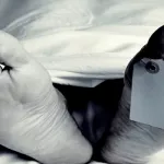 songon-un-individu-tue-a-coups-de-tesson-de-bouteille-a-bord-d-un-vehicule