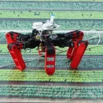 innovation-technologique-un-robot-autonome-qui-s-oriente-sans-gps