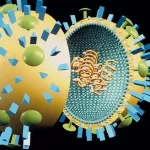 les-virus-de-la-grippe-un-vaccin-universel-est-en-chemin
