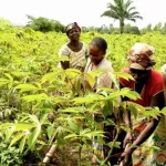 6eme-forum-de-l-emploi-et-de-l-entreprenariat-au-feminin-la-promotion-du-genre-et-l-autonomisation-de-la-femme-au-coeur-des-preoccupations
