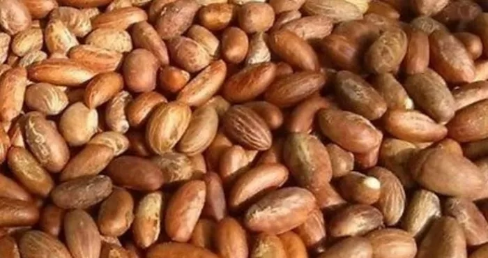 les-vertus-du-petit-cola-sur-votre-sante