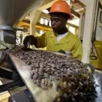 filiere-cafe-cacao-le-dg-de-la-sifcacoop-demissionne-des-troubles-annonces-dans-le-secteur