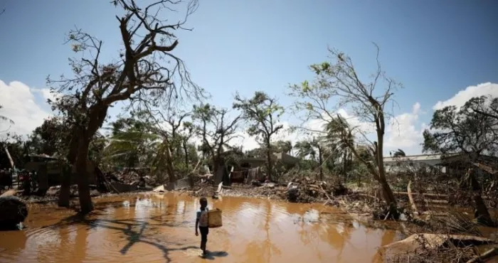zimbabwe-une-femme-donne-naissance-perchee-sur-un-arbre