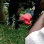 riviera-drame-une-dame-se-suicide-en-se-jetant-de-son-immeuble-avec-son-fils-dans-les-bras