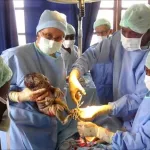 la-cesarienne-tue-300-000-femmes-par-an