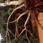 duekoue-une-tornade-detruit-ecoles-hopital-brigade-de-gendarmerie-et-autres-services-le-maire-appelle-le-gouvernement-au-secours